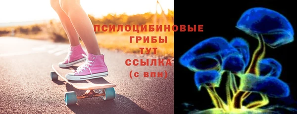 хмурый Козловка