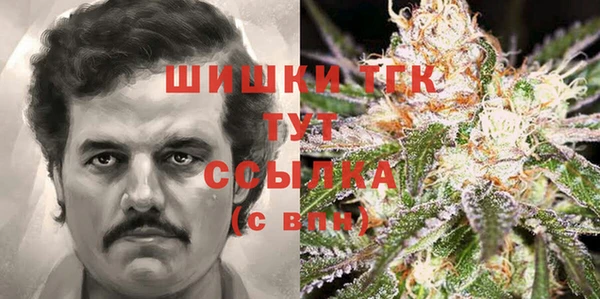 хмурый Козловка