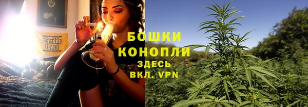 хмурый Козловка